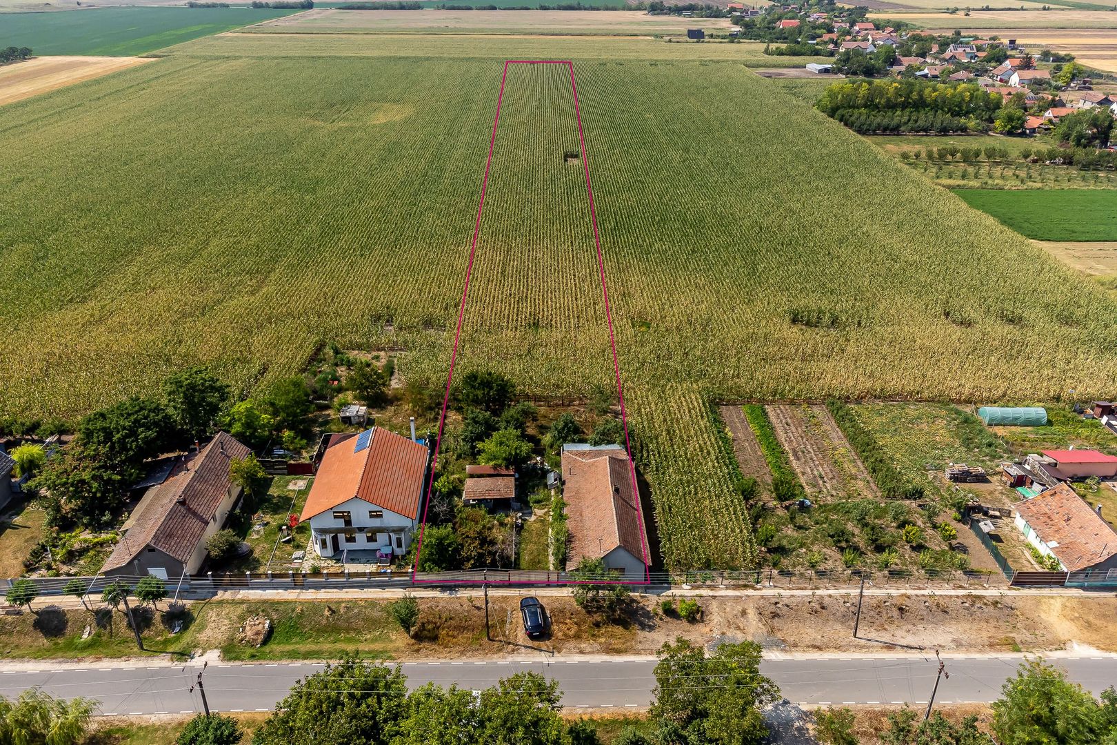 Casă Variasu Mare Jud. Arad cu teren 16883 mp - Poză 1