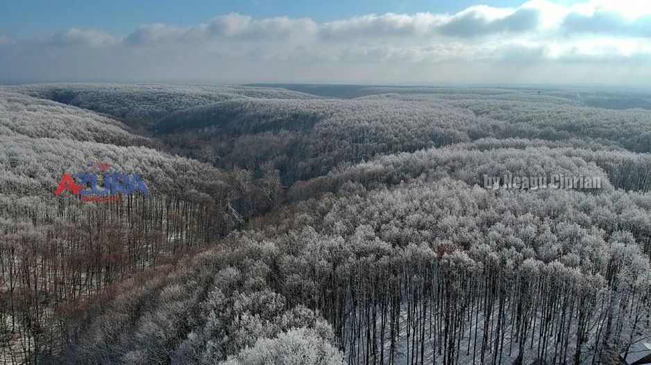 COMISION 0% -Casa deosebita Ciocanai - Poză 45