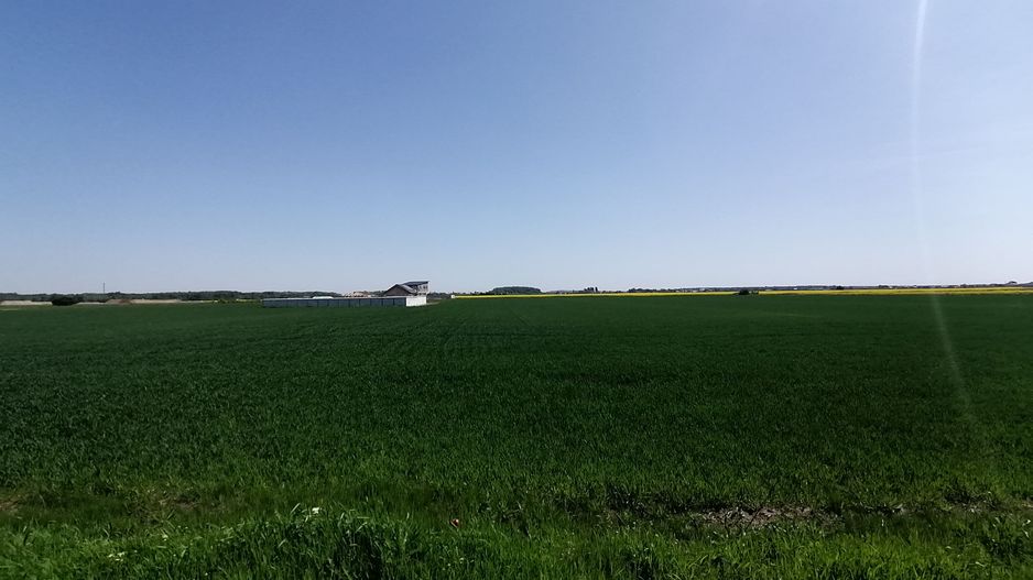 Teren intravilan 9313 mp in comuna 1 Decembrie - Ilfov - Poză 1