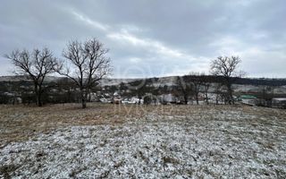 Casa individuala cu teren generos – 8.356 mp – Tichindeal, jud. Sibiu - Poză 9