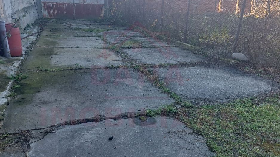 CASĂ PĂLTINIȘ\JUD. CARAȘ-SEVERIN\ COMISION 0% - Poză 21