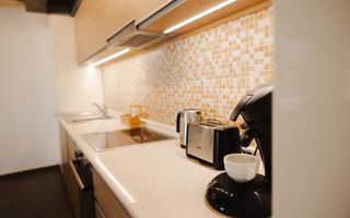 Casa Nicolae  | Regim Hotelier | Apartament 2 camere - Poză 8