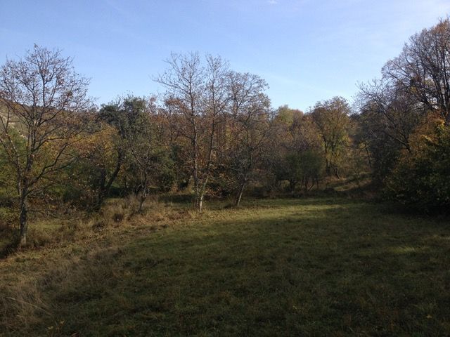 Teren extravilan de vanzare 1.125 mp Două fronturi Zona Gusterita - Poză 3