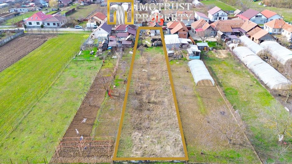 Casă cu teren generos 1.305 mp | Curtici – Arad - Poză 5