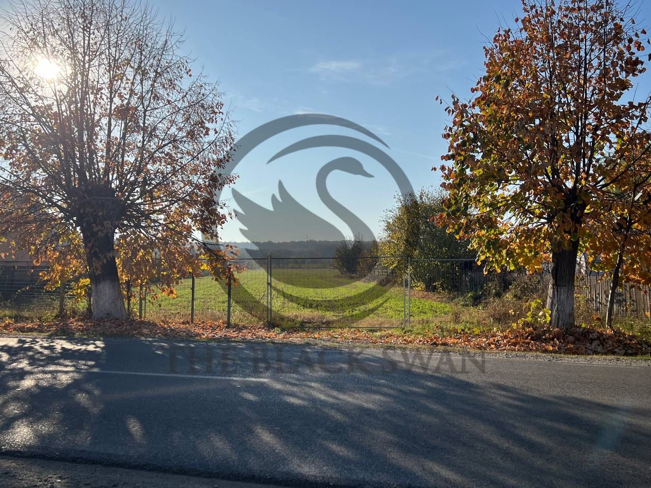Teren intravilan de vanzare | 12.650 mp | Ghirdoveni, | COMISION 0% - Poză 6