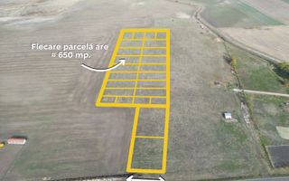 Parcele de teren 650mp | Dudestii Noi - Poză 1