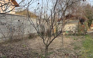 TEREN DE VANZARE CU CASA DE VACANTA IN ZONA MURESEL - Poză 6