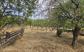 Vanzare teren pentru casa, Moraresti - Poză 4