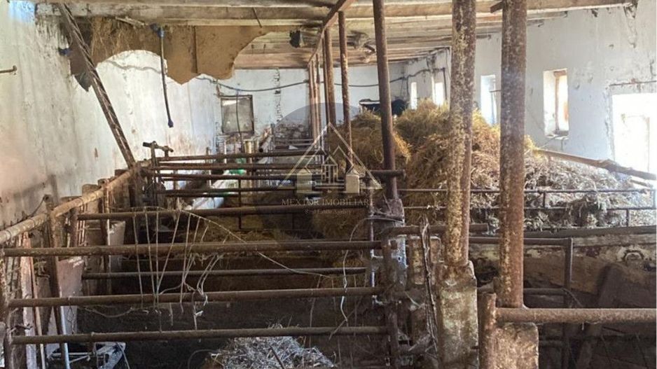 Fermă de vanzare - Poză 8