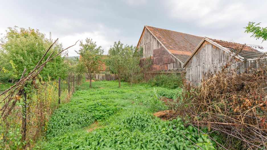 Casa in Purcareni, strada Principala - Poză 22