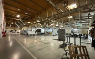 Hala 5000 mp dotata pentru productie si depozitare ISU categoria D - Poză 1