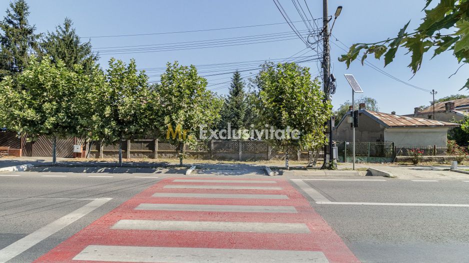 teren 3889 mp Domnesti Primarie - Poză 1