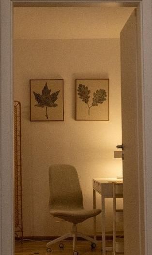Apartament 2 Camere Theodor Pallady / Parcare - Poză 10