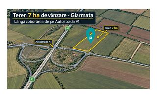 Teren 7 ha Giarmata | lângă A1 - Poză 2