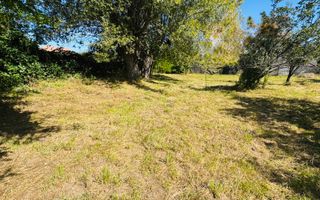 TEREN INTRAVILAN 3234 MP LEREȘTI VOINEȘTI ARGEȘ - Poză 14