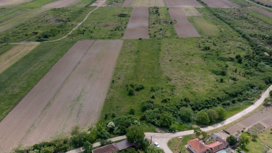 Teren extravilan 5000 mp Urseni, Timiș - Poză 4