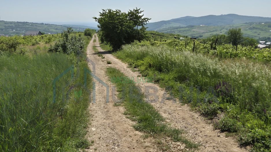 Teren intravilan de vânzare în Tomesti-Goruni – parcele de 700 mp și 3000 mp - Poză 6