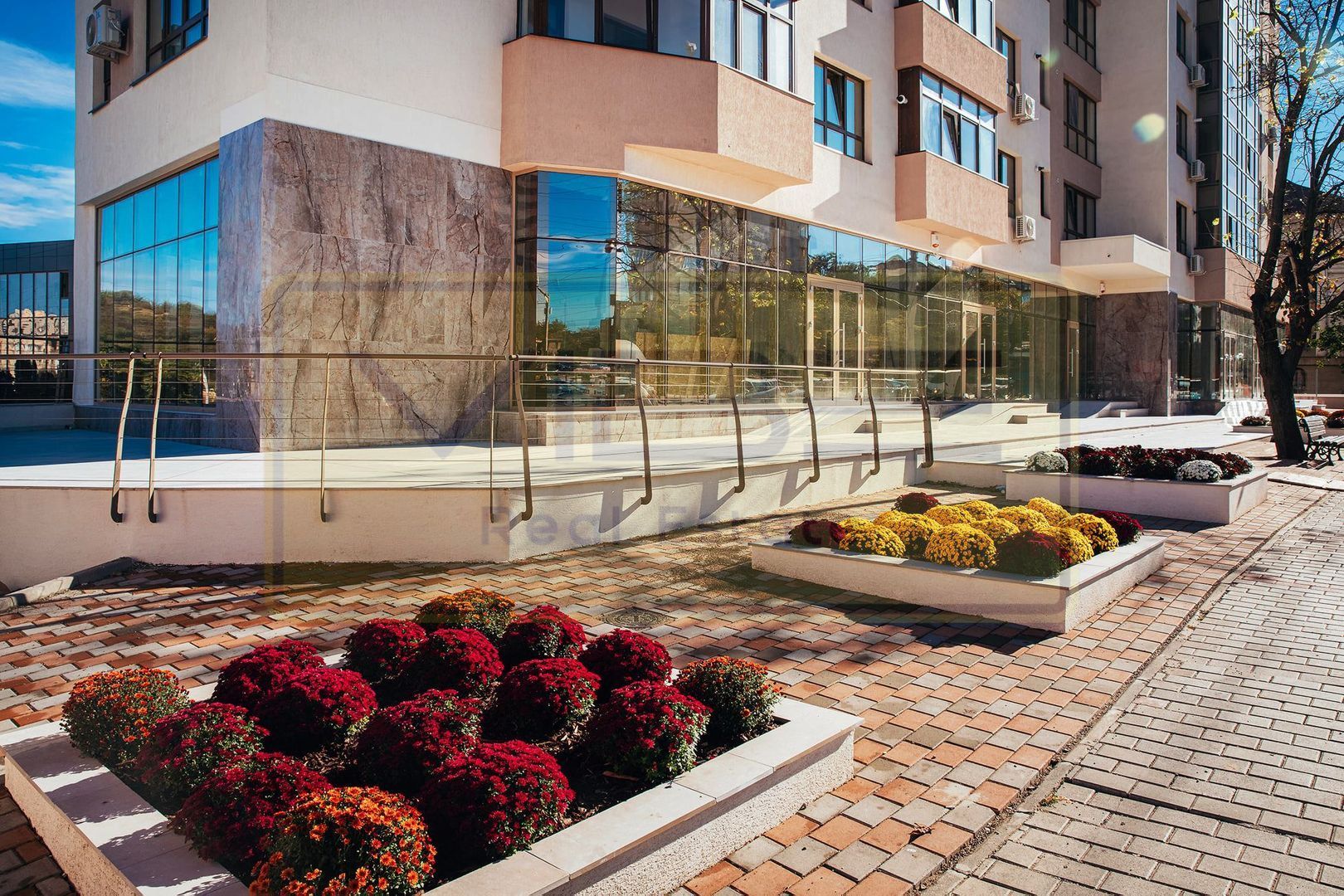 Spatiu la bulevard Nicolina - Rond vechi - Poză 2