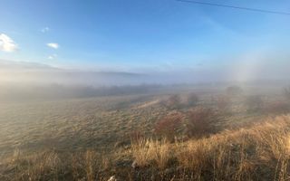 Teren cu potențial turistic I Valea Avrigului I 2900 MP - Poză 6