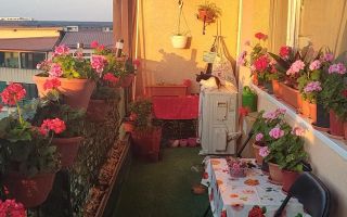 Garsoniera decomandata/ zona Aparatorii Patriei/44 mp - Poză 5