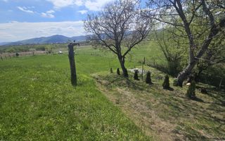 Teren 5400 mp superb cu livada si vedere spre munti Orlat - Poză 5