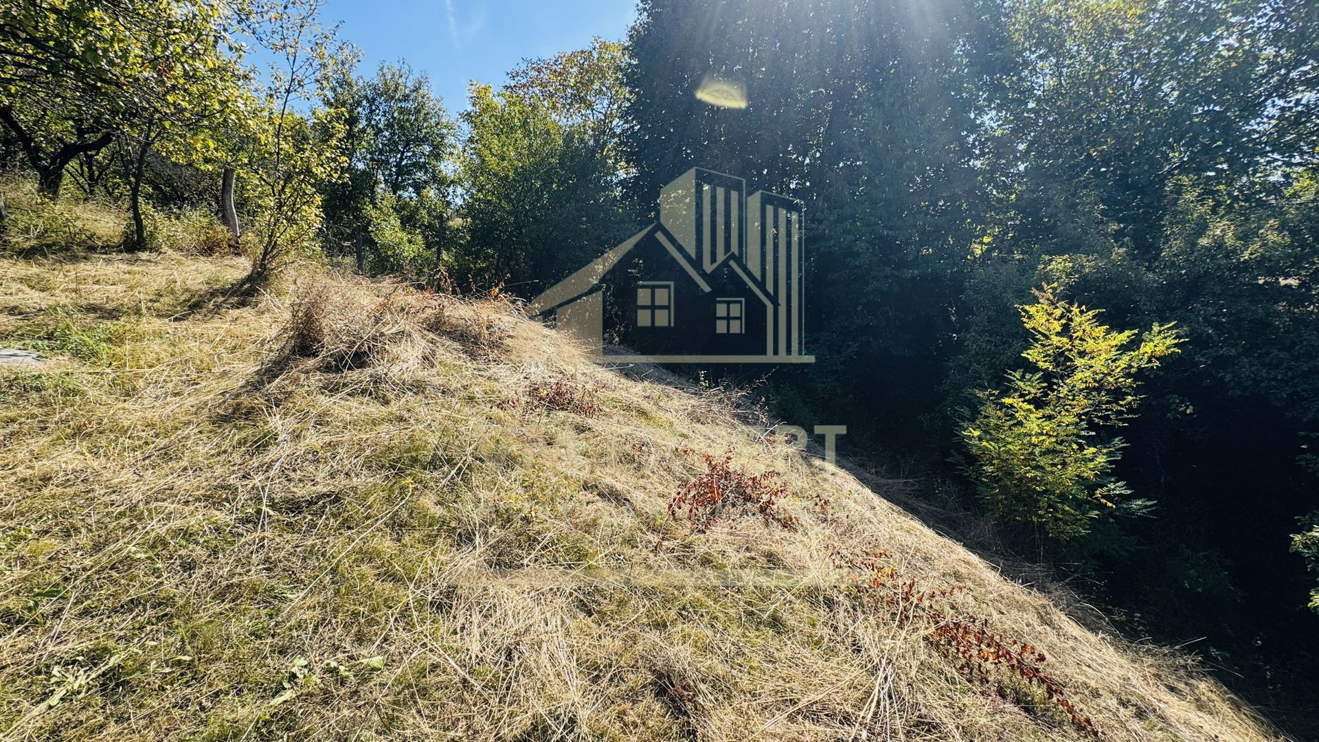 TEREN INTRAVILAN 3234 MP LEREȘTI VOINEȘTI ARGEȘ - Poză 18