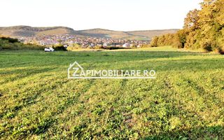 De vanzare 2 terenuri de 29.500 mp si 1.400 mp.29 euro mp - Poză 11