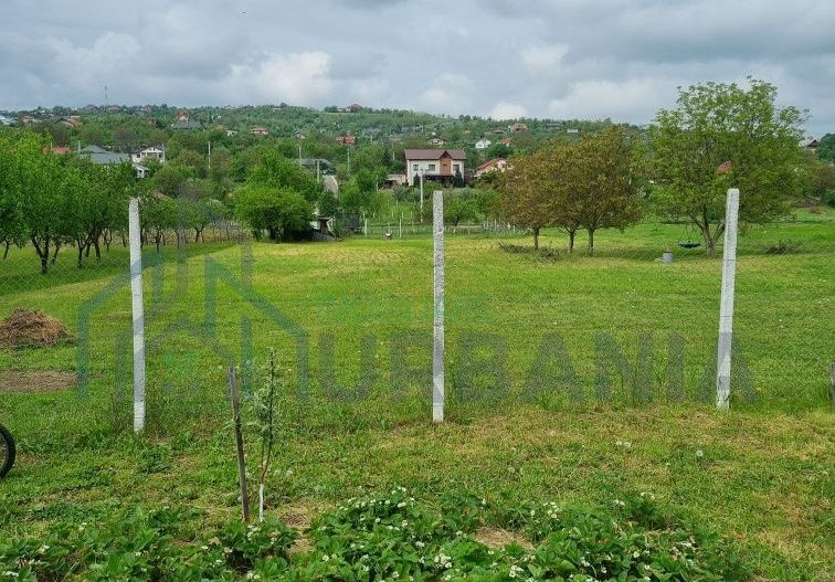 Teren intravilan de vanzare in Tomesti, Chicerea – 2 parcele cu utilitati in zona - Poză 7