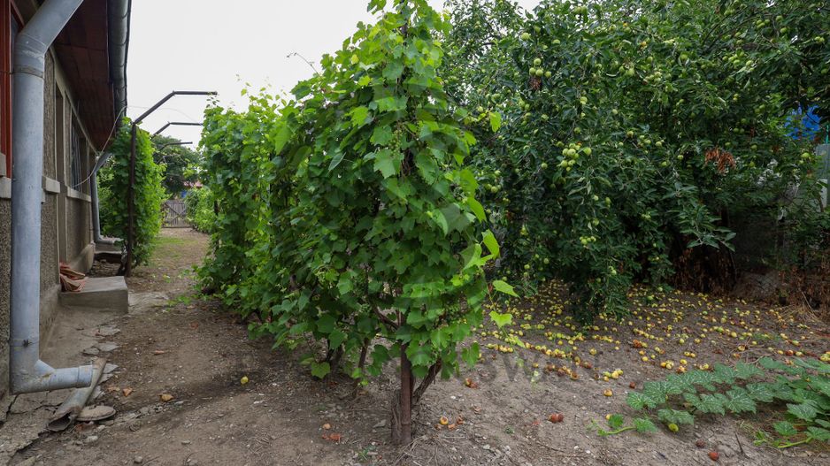 Casa cu 5 camere de vanzare | Dumbrava, Prahova I Comision 0% - Poză 17