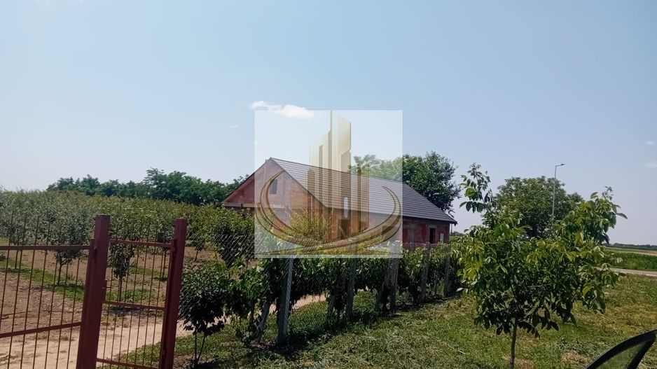 Vand/Schimb Livada Belint 16000mp - Poză 18