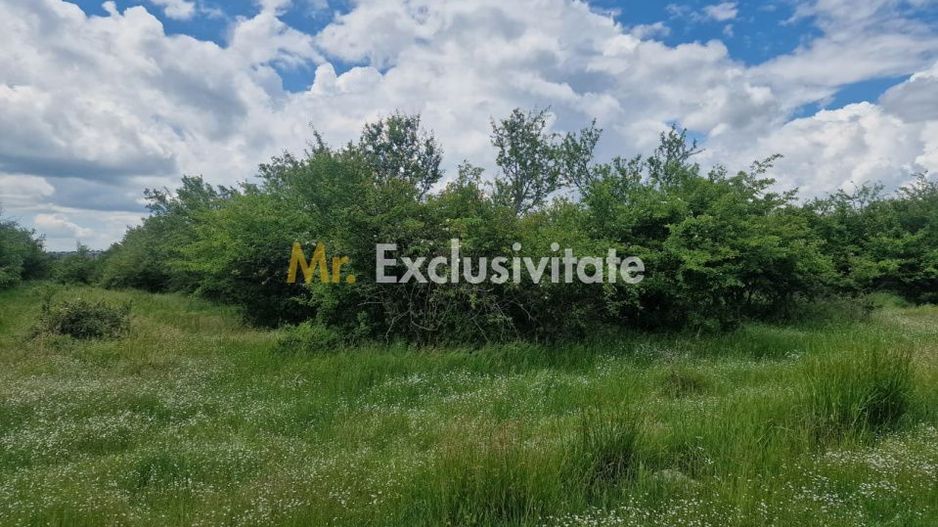 0% Comision!!! Teren intravilan Smeura - str Prunilor! - Poză 8