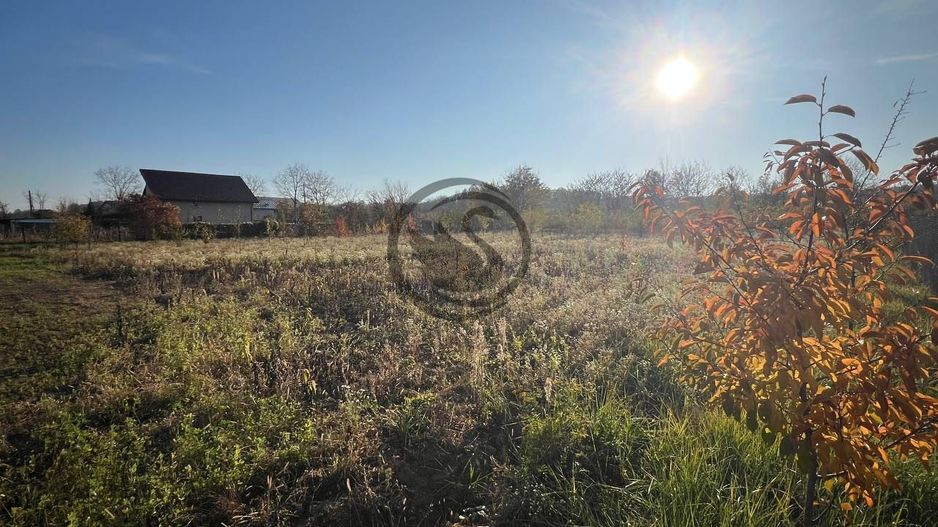 Teren intravilan de vanzare | 12.650 mp | Ghirdoveni | Comision 0% - Poză 6