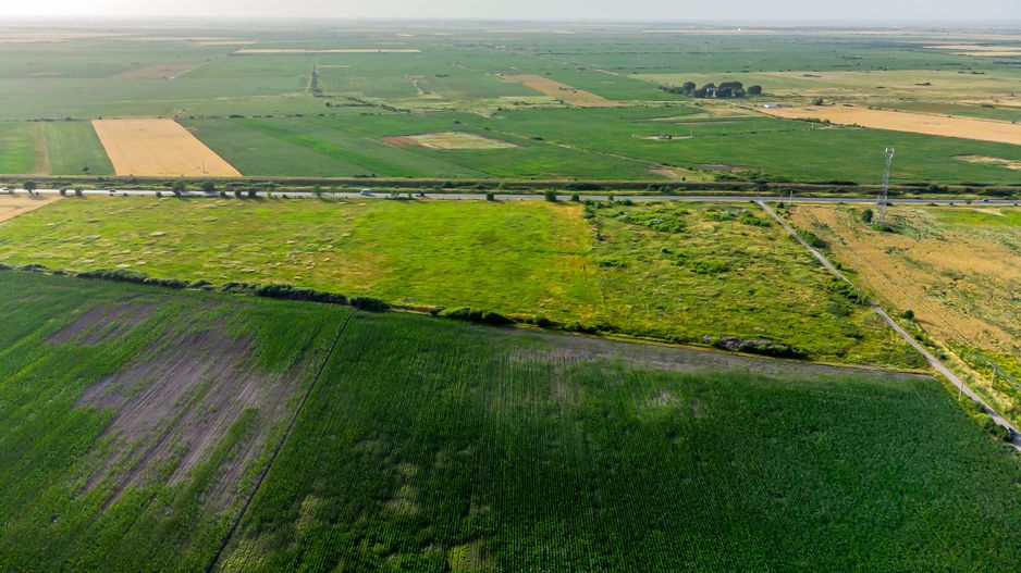 Teren pentru investiție DN7 - Poză 1