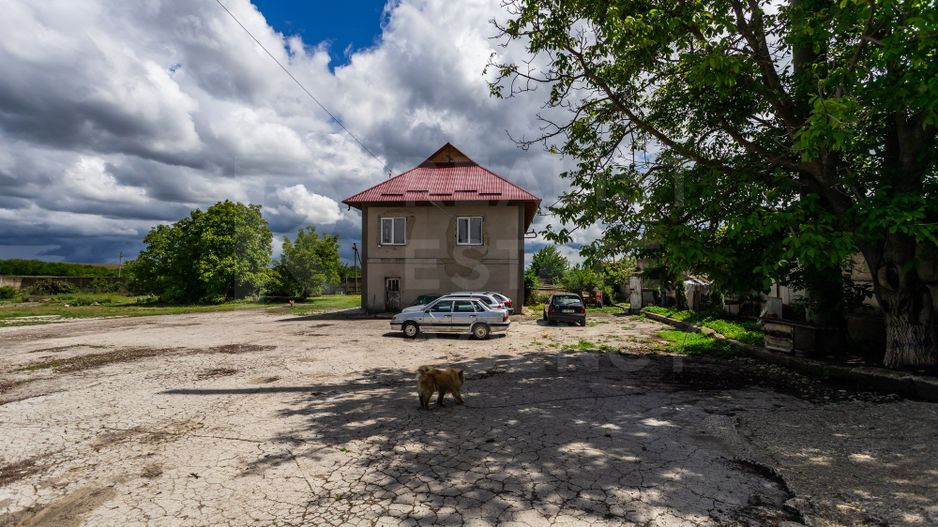 Vânzare,teren pentru construcție,1,18 ha, satul Maximovca, Anenii Noi - Poză 33