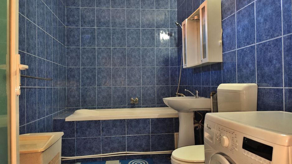 Casa la tara - teren 2826 mp, acces auto, in Sacadat, Bihor - Poză 12