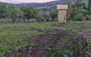 Teren intravilan de vanzare, Chicerea, 740 mp, strada Canarului, Tomesti - Poză 3