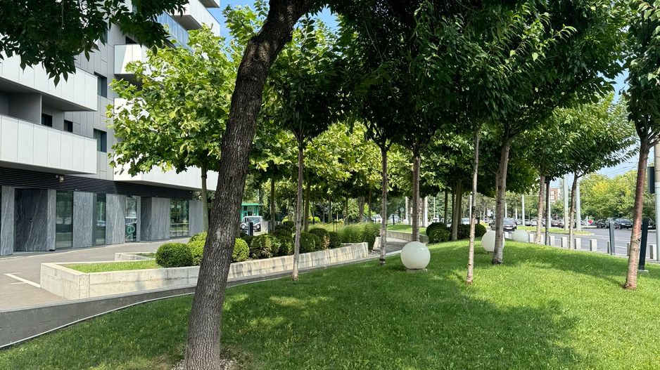 Spatiu Comercial | Stradal | 338 m2 | Trafic intens | Vitralii | - Poză 2
