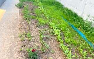 Vilă 5 Camere | Green Residence Tunari | 0% Comision - Poză 25