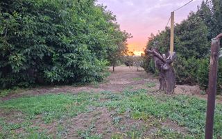 BRASADAS vinde casa individuala 2 cam teren 6 ari Titulescu. - Poză 3