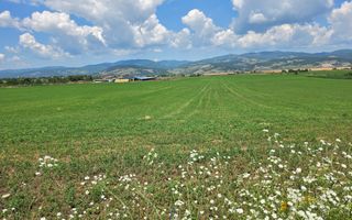 Teren intravilan industrial, 21300 mp, deschidere 77 mp, Vintu de Jos - Poză 6