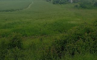 Teren 7140 mp de vanzare Murgasi - Oportunitate  investiție - Poză 3