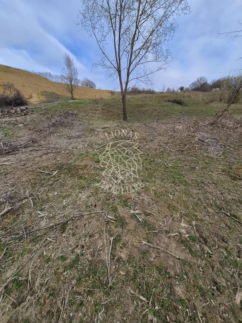 Oferta 9 parcele teren - pretabil casa de vacanta- 5 min de centru ! - Poză 6