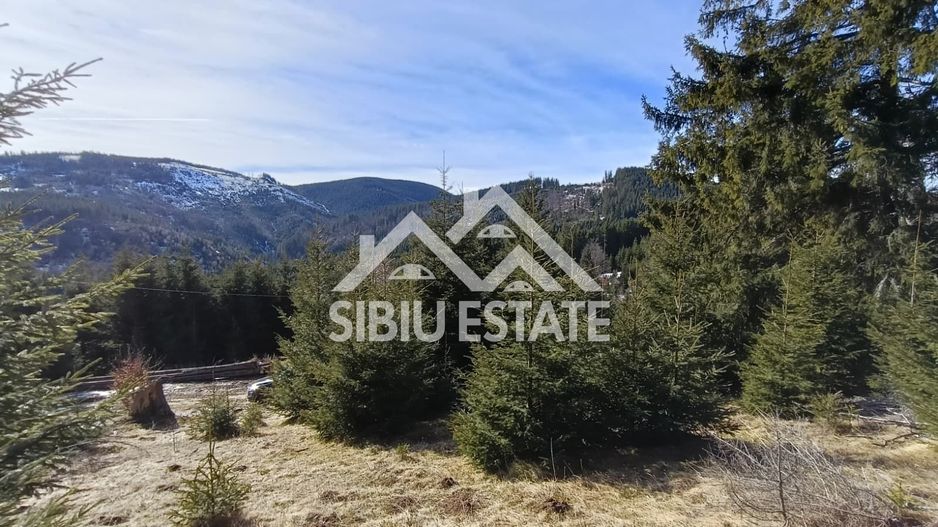 Teren de vânzare în zona montană a județului Alba - Poză 10