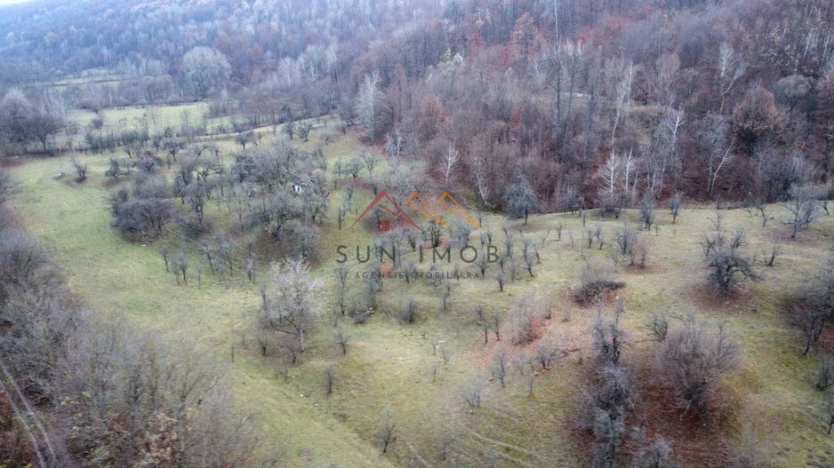 Teren 36000 m2, intravilan+partial extravilan, cadastru, Draganeasa PH - Poză 3