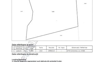 Teren extravilan 5000 MP Comandau - Poză 2
