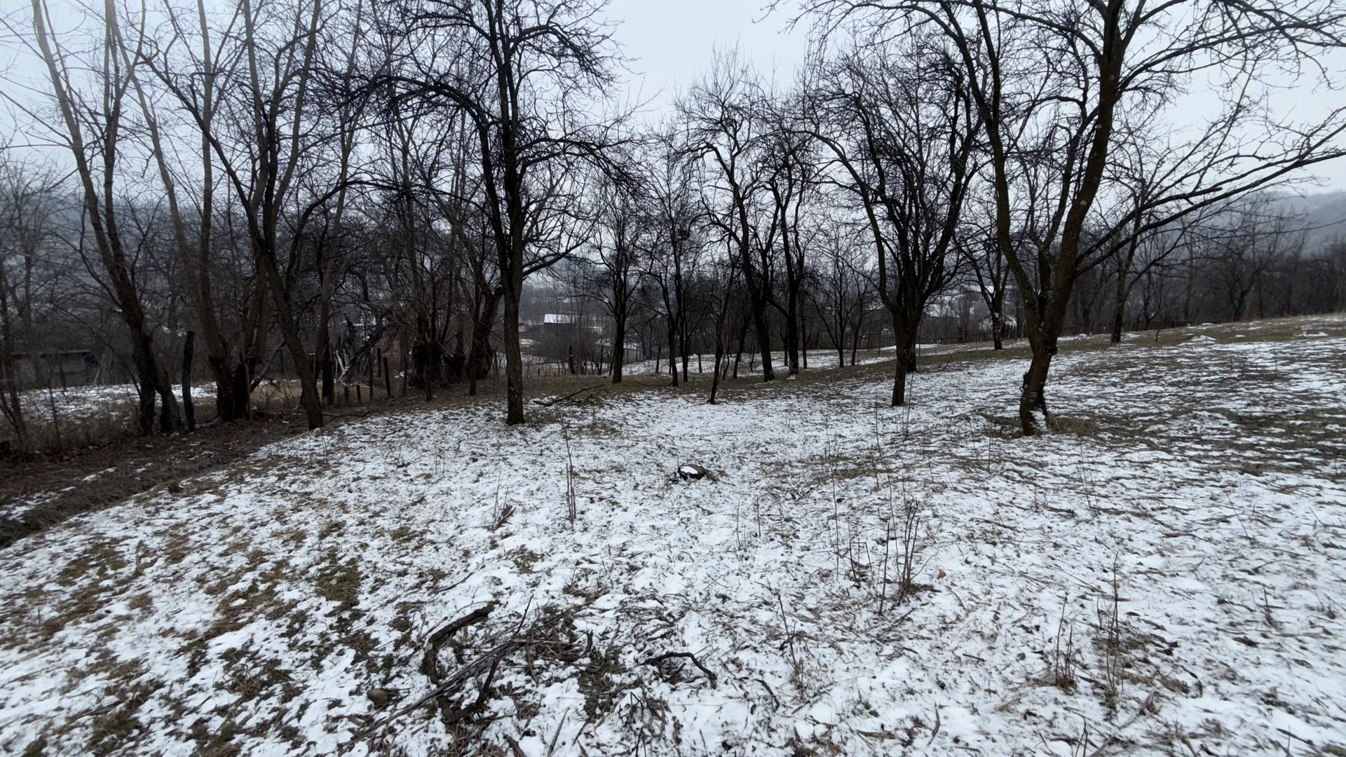 Teren 4652 mp cu izvor pe el, Lunca Mare, lângă păstrăvăria Doftana - Poză 9