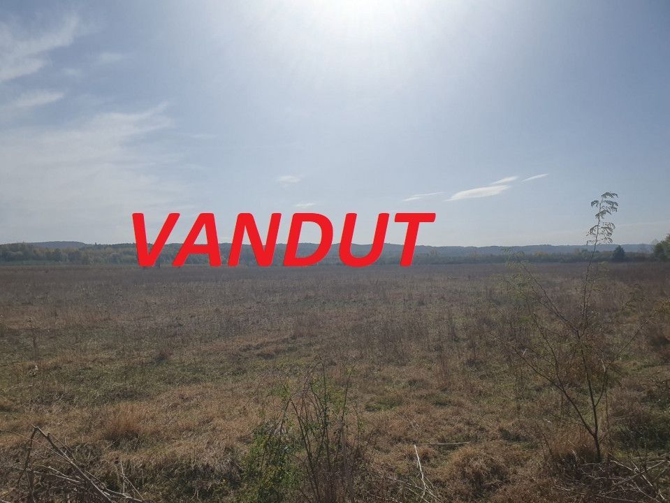 Vanzare teren arabil 22 Ha, plan, Arges, Moraresti - Poză 1