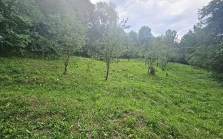 Teren intravilan de vânzare – 2.190 mp – Podu Vadului, Breaza - Poză 3