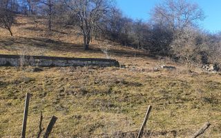 TEREN INTRAVILAN 4614 MP, CAMPULUNG - VALEA ROMANESTILOR - Poză 1