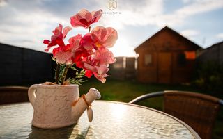 Antecontract - Panouri solare - Cartierul Primaverii | 124 mp, teren 300 mp - Poză 3